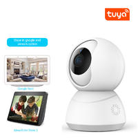 Wireless Home Security Camera TY-1080P-F4