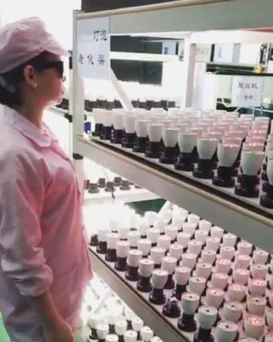 Fishcat Array image107