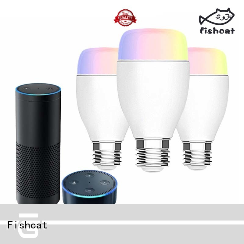 Fishcat where to buy smart light bulbs perfect for smart home